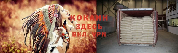 spice Гусев