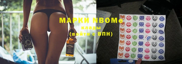 индика Гусь-Хрустальный