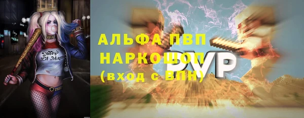 индика Гусь-Хрустальный
