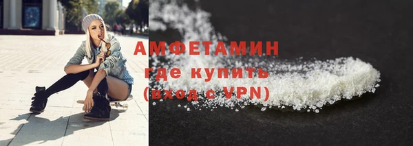 индика Гусь-Хрустальный