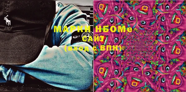 индика Гусь-Хрустальный