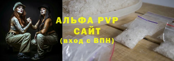 индика Гусь-Хрустальный