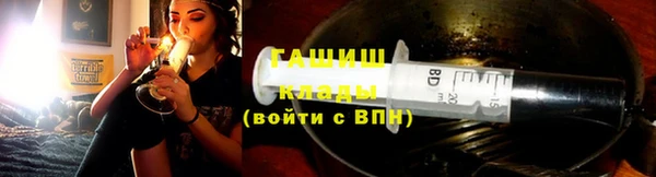 индика Гусь-Хрустальный