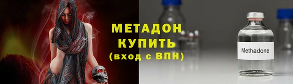 индика Гусь-Хрустальный