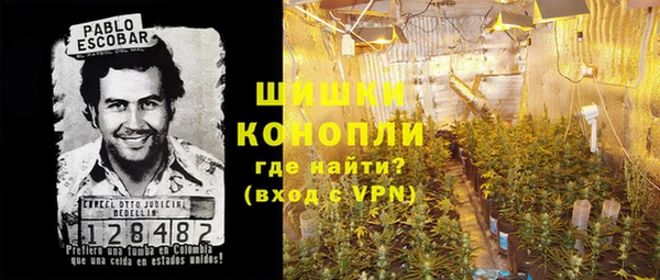 прущие крисы Елизово
