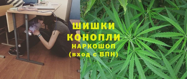 индика Гусь-Хрустальный