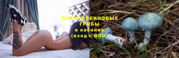 прущие крисы Елизово