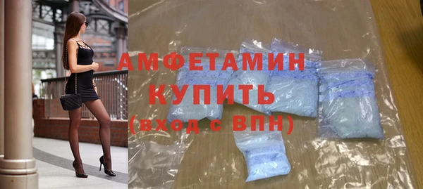 индика Гусь-Хрустальный