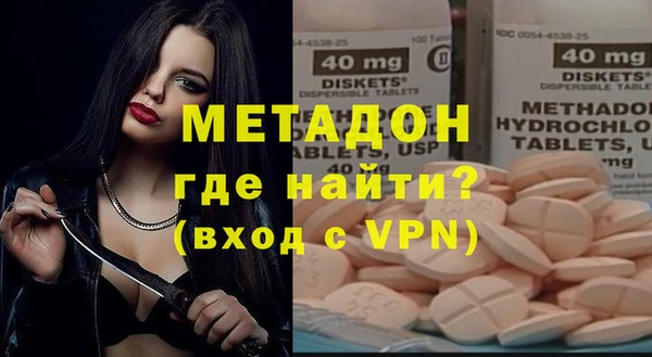 индика Гусь-Хрустальный